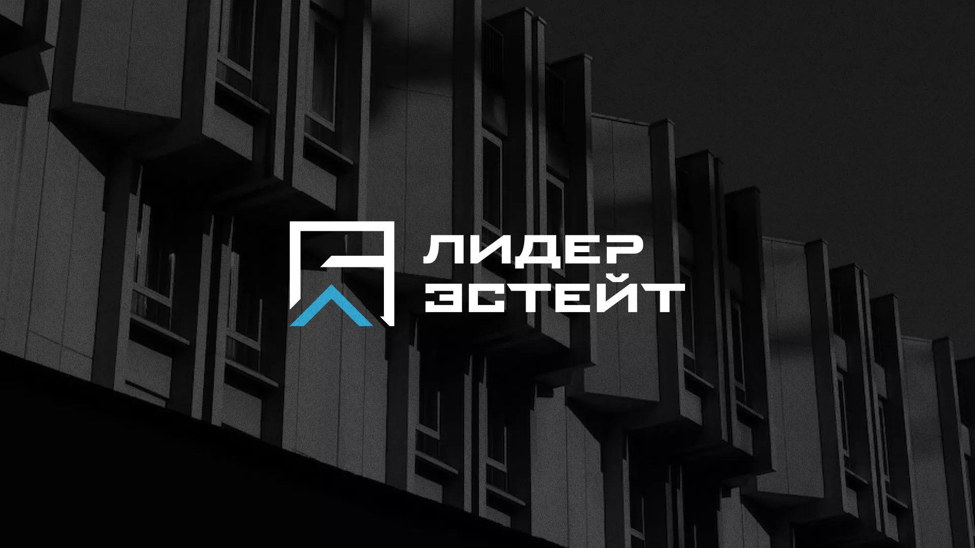 Разработка логотипа агентства недвижимости «Лидер Эстейт» в Волоколамске